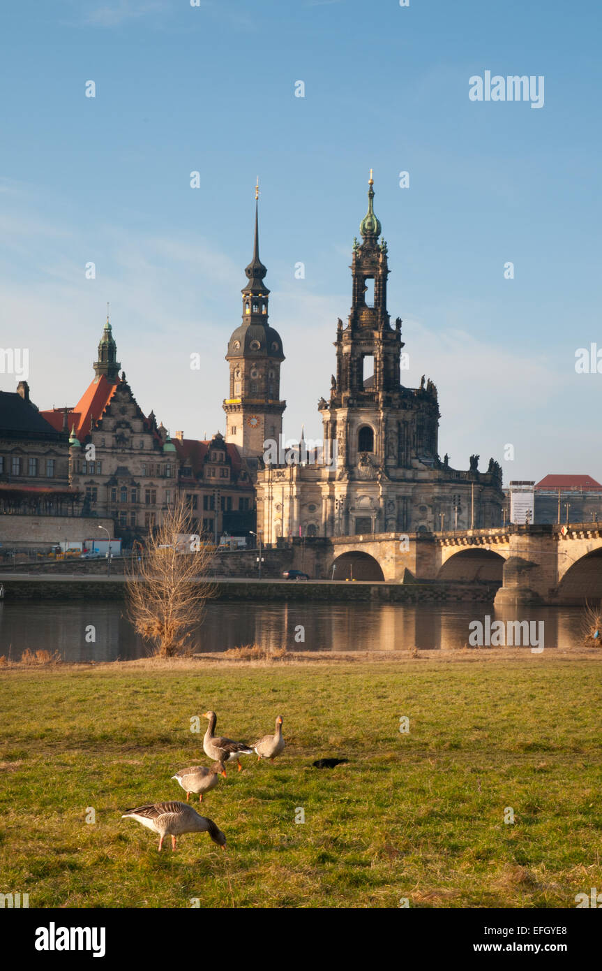 Skyline von Dresden, Turm von Residenzschloss Schloss und Kathedrale, Fluss Elbe Stockfoto