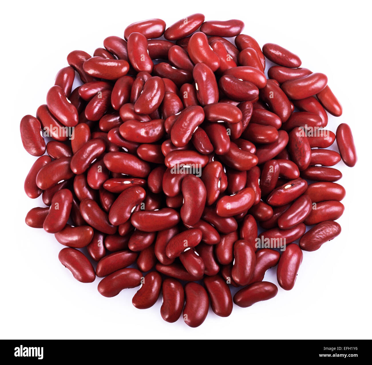 Rote Kidney-Bohnen auf weißem Hintergrund Stockfoto