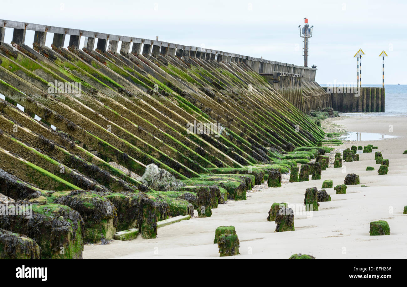 Hölzernen Wellenbrecher an einem Strand von der Mündung auf den Fluss Arun in Littlehampton, West Sussex, England. Stockfoto