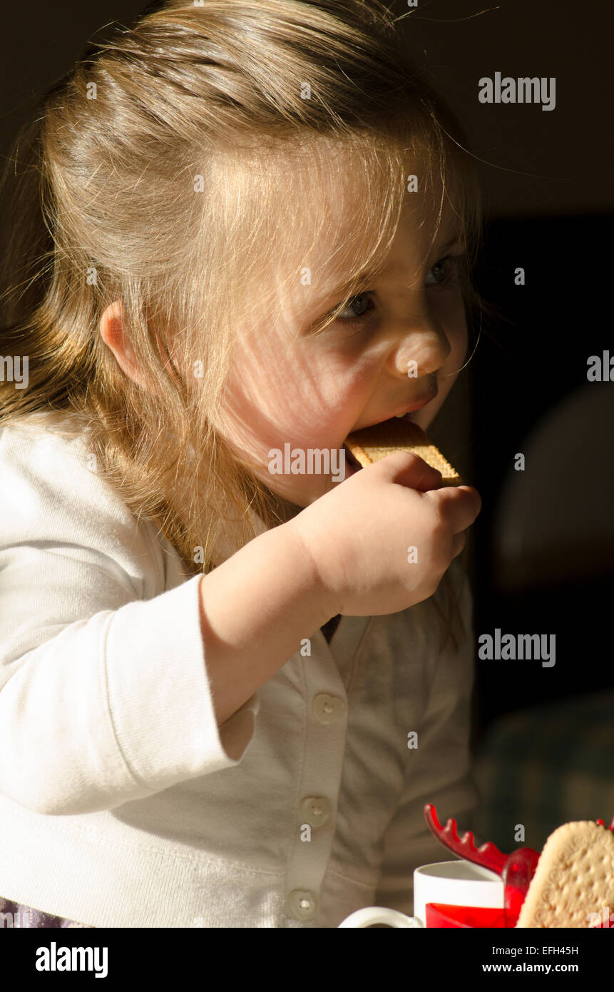 Zwei Jahre altes Mädchen Keks im Becher Tee Eintunken. Stockfoto