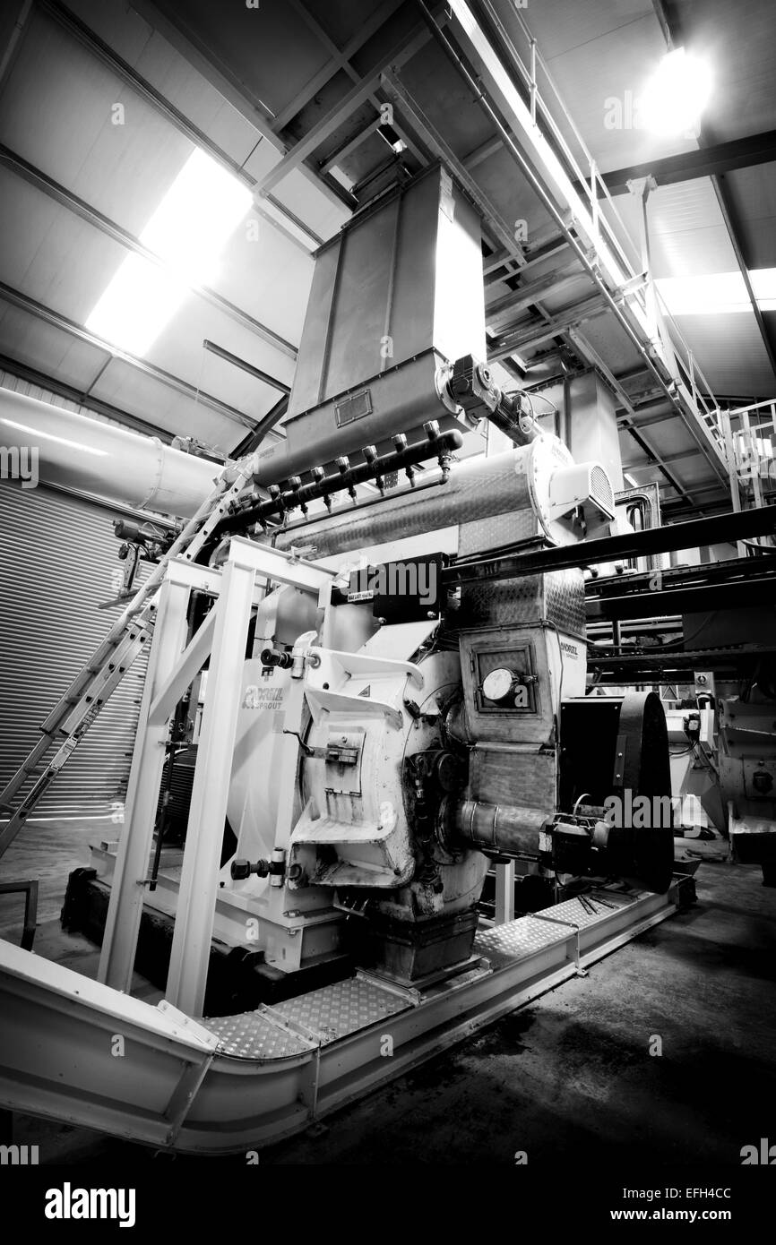 Industrielle Anlagen und Rohrleitungen für die Produktion von Biomasse, Schwarzweiß Stockfoto