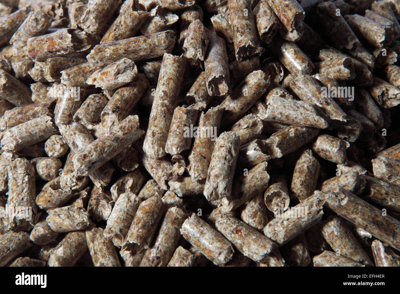 Biomasse Holz brennstoff Pellets, full frame Stockfoto