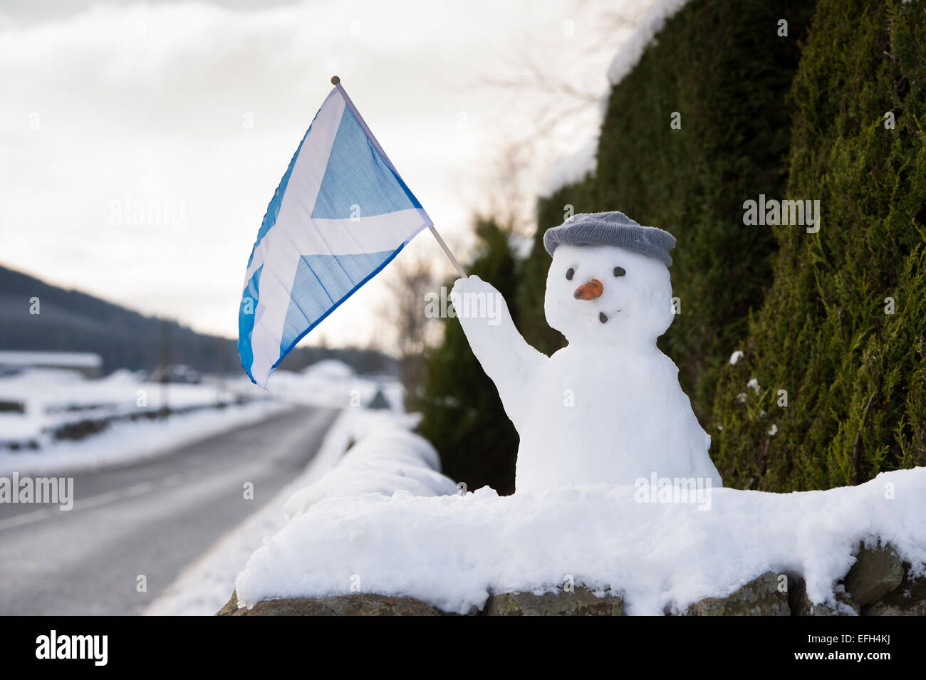 Schneemann auf einer Wand mit einer schottischen Flagge. Schottland Stockfoto