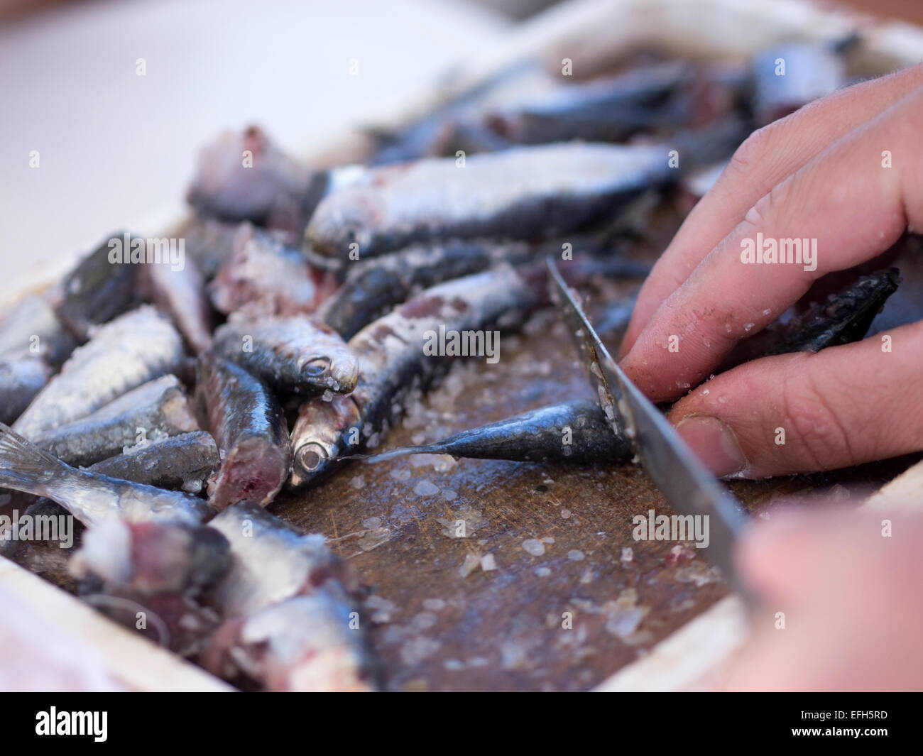 Fischer schneiden Sardinen mit Messer auf Holzbrett hautnah Stockfoto