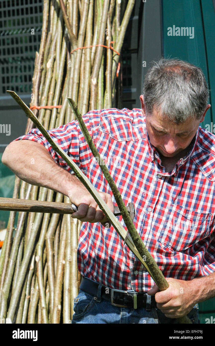 Handwerker Spleißen willow Zweig für weide zaun an Landwirtschaftliche zeigen Stockfoto