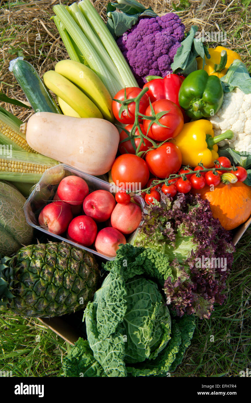 Eine Schachtel mit Bio-Gemüse (Gemüse Box) bereit für Hauszustellung auf der Farm in Somerset, wo sie angebaut wurden. Stockfoto