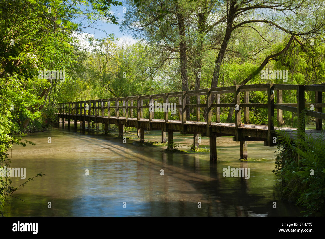 Eine hölzerne Fußgängerbrücke oder ein Gehweg durchquert einen weiten Abschnitt des River Test von Wherwell nach Chilbolton Cow Common, Test Valley, Hampshire, England Stockfoto