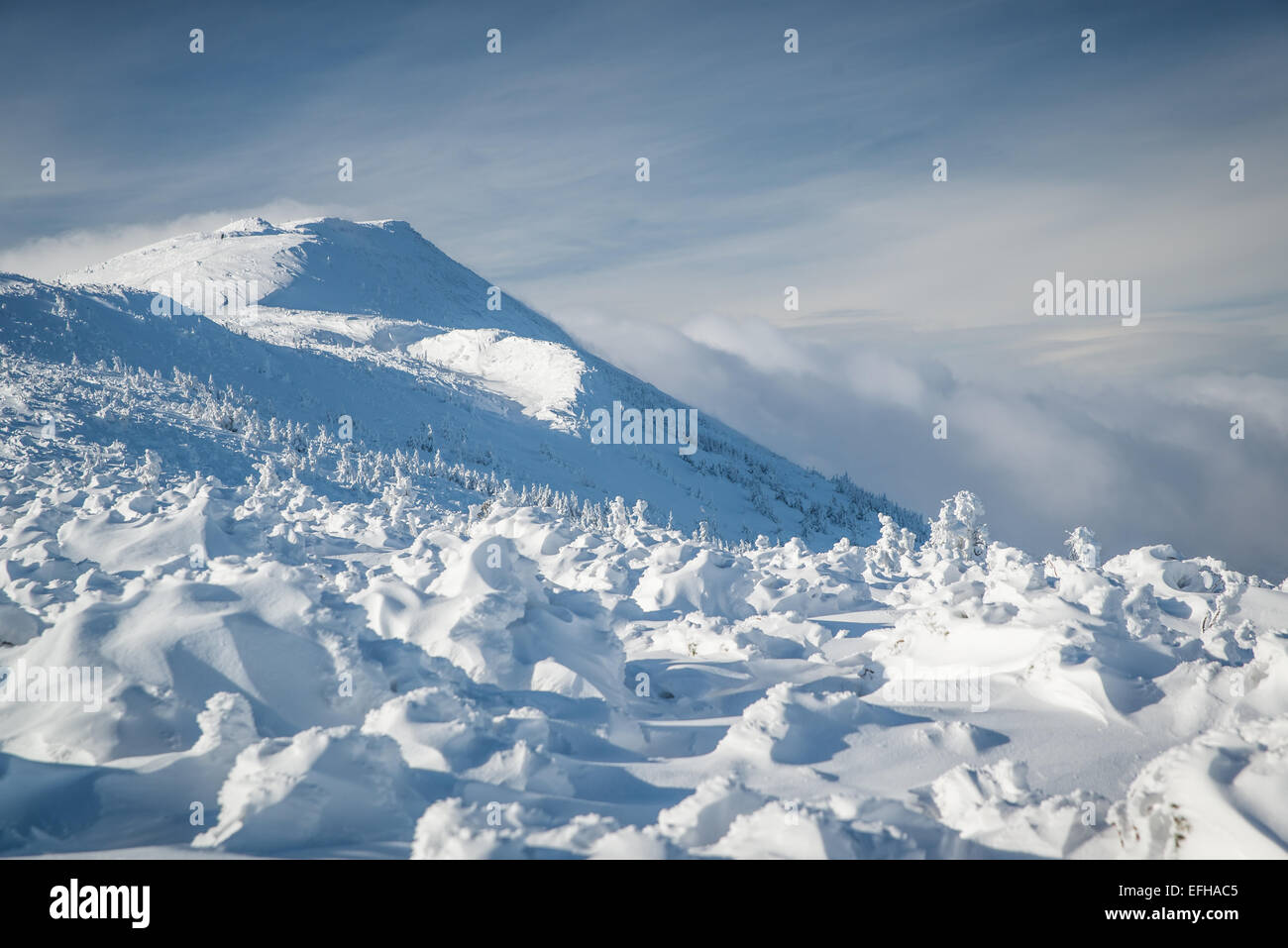 Babia Gora - Gipfel Stockfoto