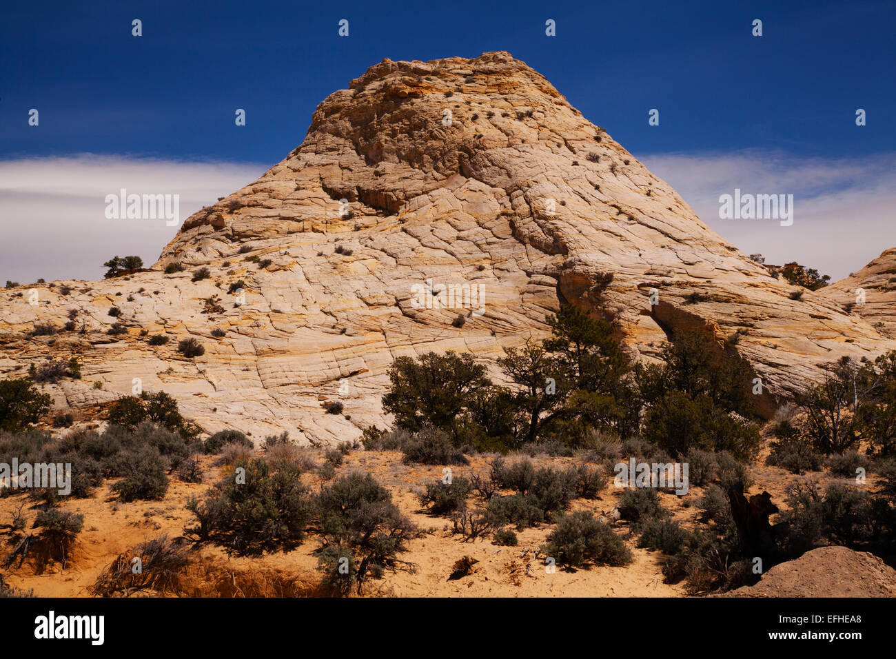 Burr Trail, Sandstein, Utah Stockfoto