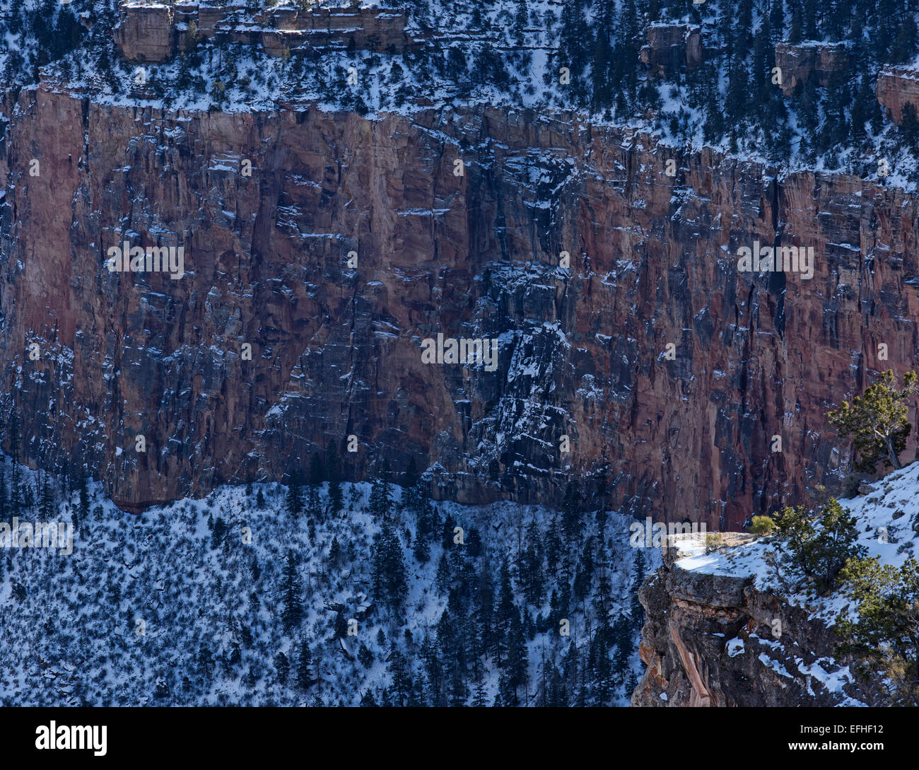 Grand Canyon, Arizona, steilen Felsen Schatten und Schnee panorama Stockfoto