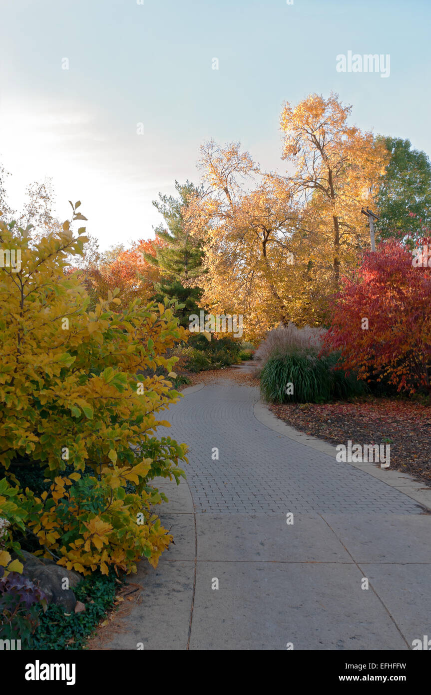 gewundenen Bäumen gesäumten Pfad in Olbrich botanischen Gärten im Herbst in Madison Wisconsin Stockfoto