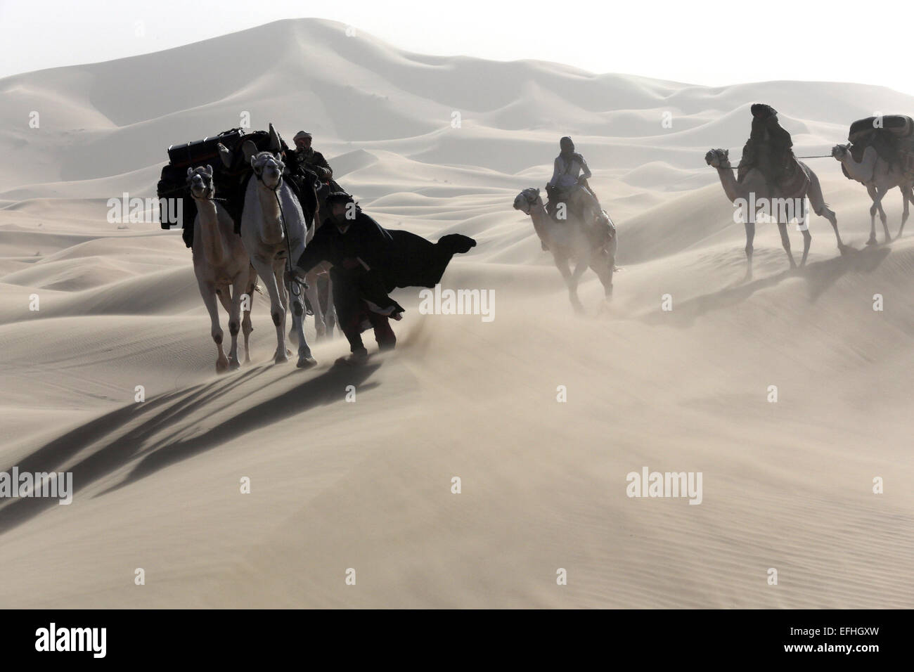 Eine undatiertes Handout Bild zeigt ein Standbild aus dem Film "Queen of the Desert" von Regisseur Werner Herzog. Der Film werden im offiziellen Wettbewerb der 65. jährlichen Berliner Filmfestspiele "Berlinale", das von 05 bis 15. Februar 2015 läuft präsentiert. Foto: QOTD FILM INVESTMENT LTD./BERLINALE/dpa - obligatorische CREDIT/kein Vertrieb/nur bis 15. März 2015 HANDOUT EDITORIAL verwenden nur- Stockfoto