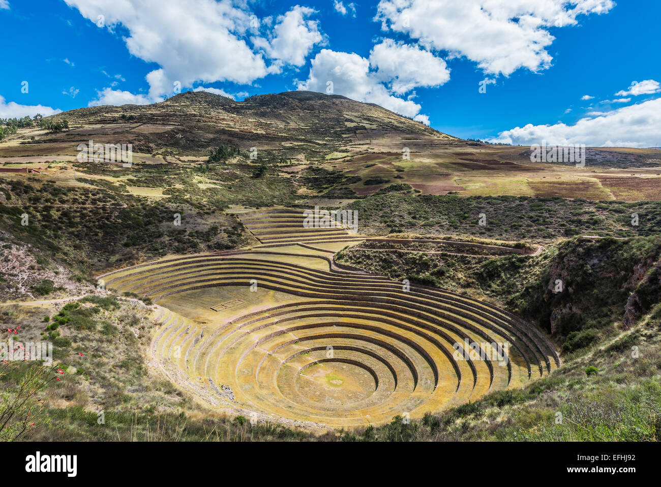 Muränen, Inka-Ruinen in den peruanischen Anden in Cuzco Peru Stockfoto