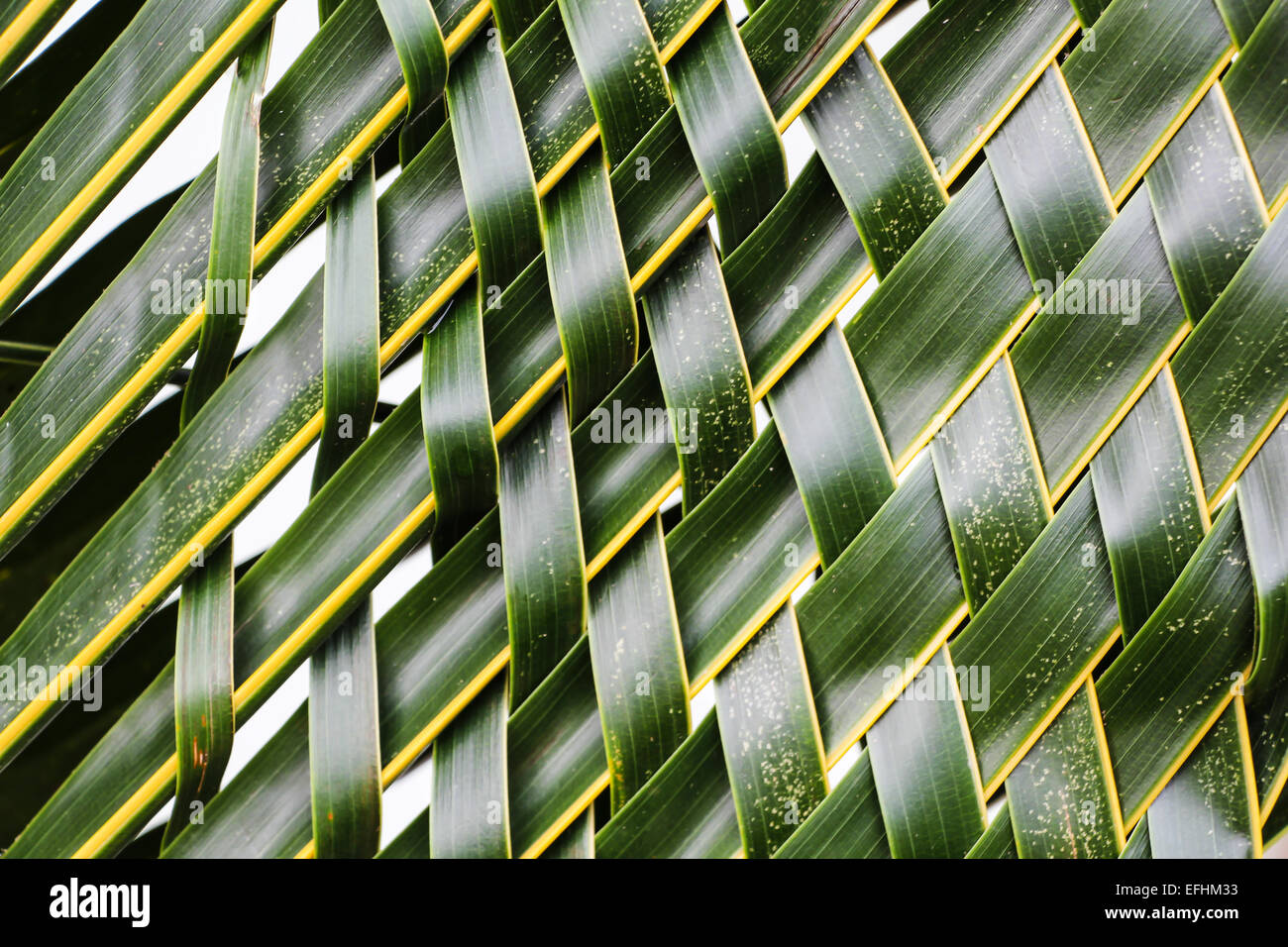Coconut leaf Handarbeit im thailändischen Stil Stockfoto