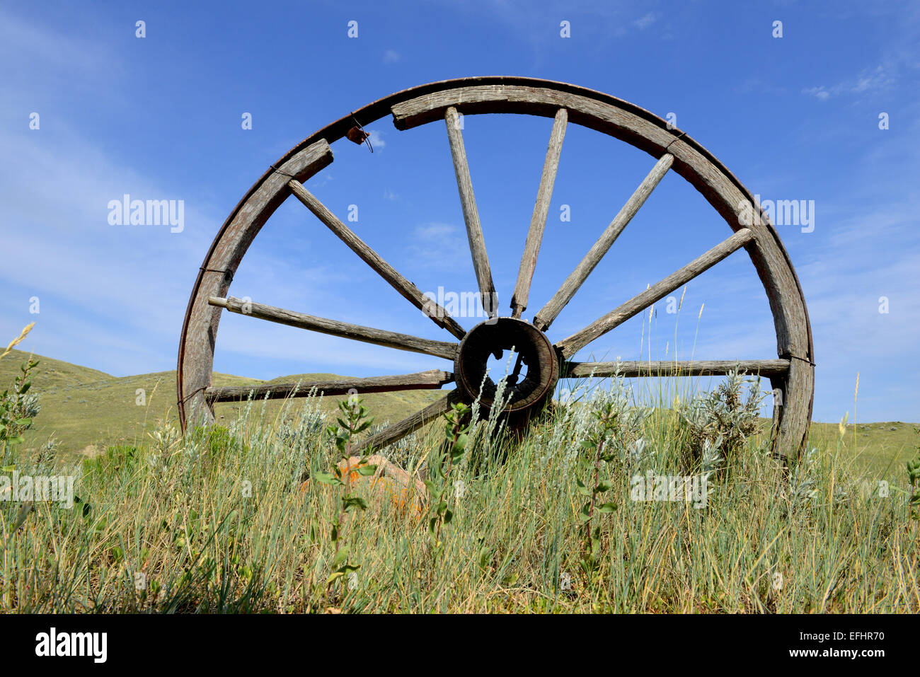 Wagenrad. Wild-West-Wagenrad Stockfoto