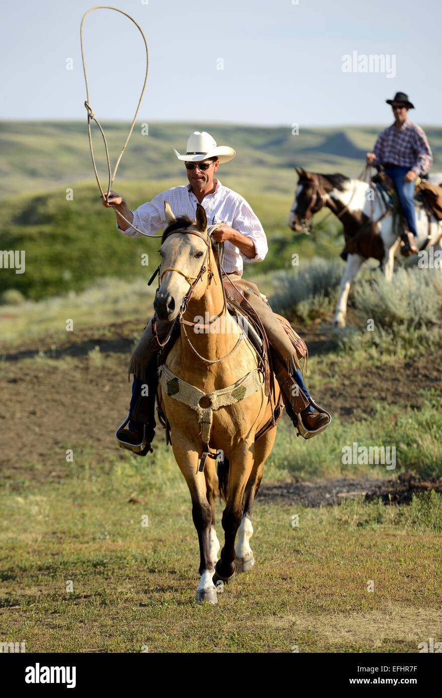 Reiter, Cowboy, La Reata Ranch, kanadischen Prärien, Saskatchewan, Kanada. Stockfoto