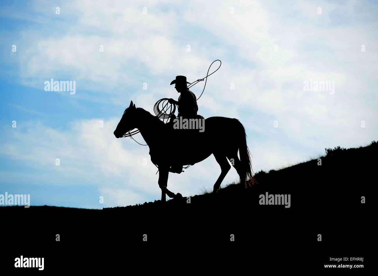 Cowboy auf Pferd mit Lasso Silhouette. Silhouette der Cowboy auf einem Pferd Stockfoto