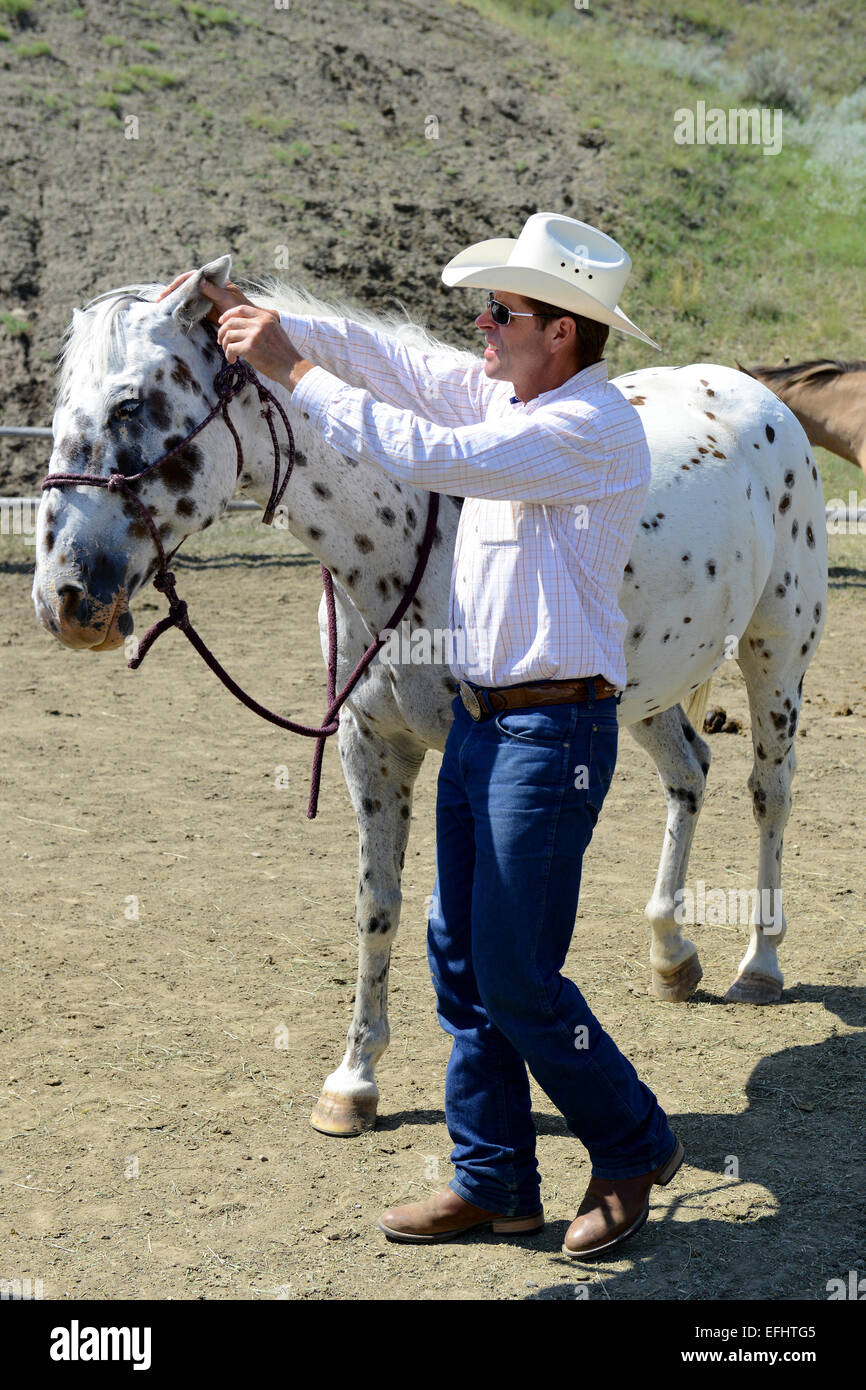 George Gaber, Besitzer von La Reata Ranch, Saskatchewan, Kanada Stockfoto