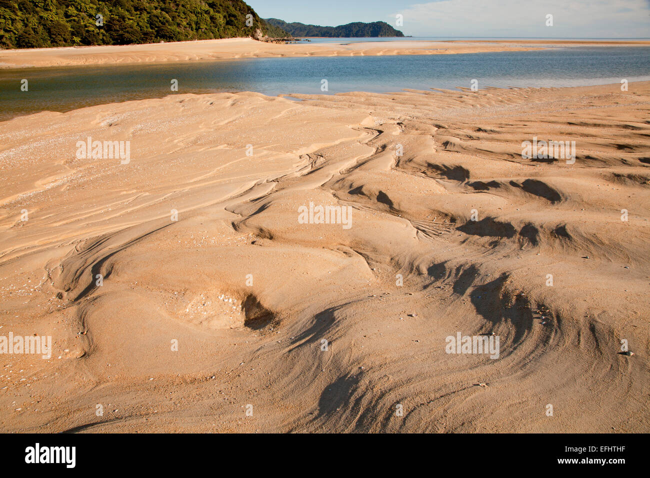 Sandbank, mit Wellen im goldenen Sand Awaroa Bucht, Abel Tasman Coastal Track, Great Walks, Nordwesten der Südinsel, Abel Ta Stockfoto