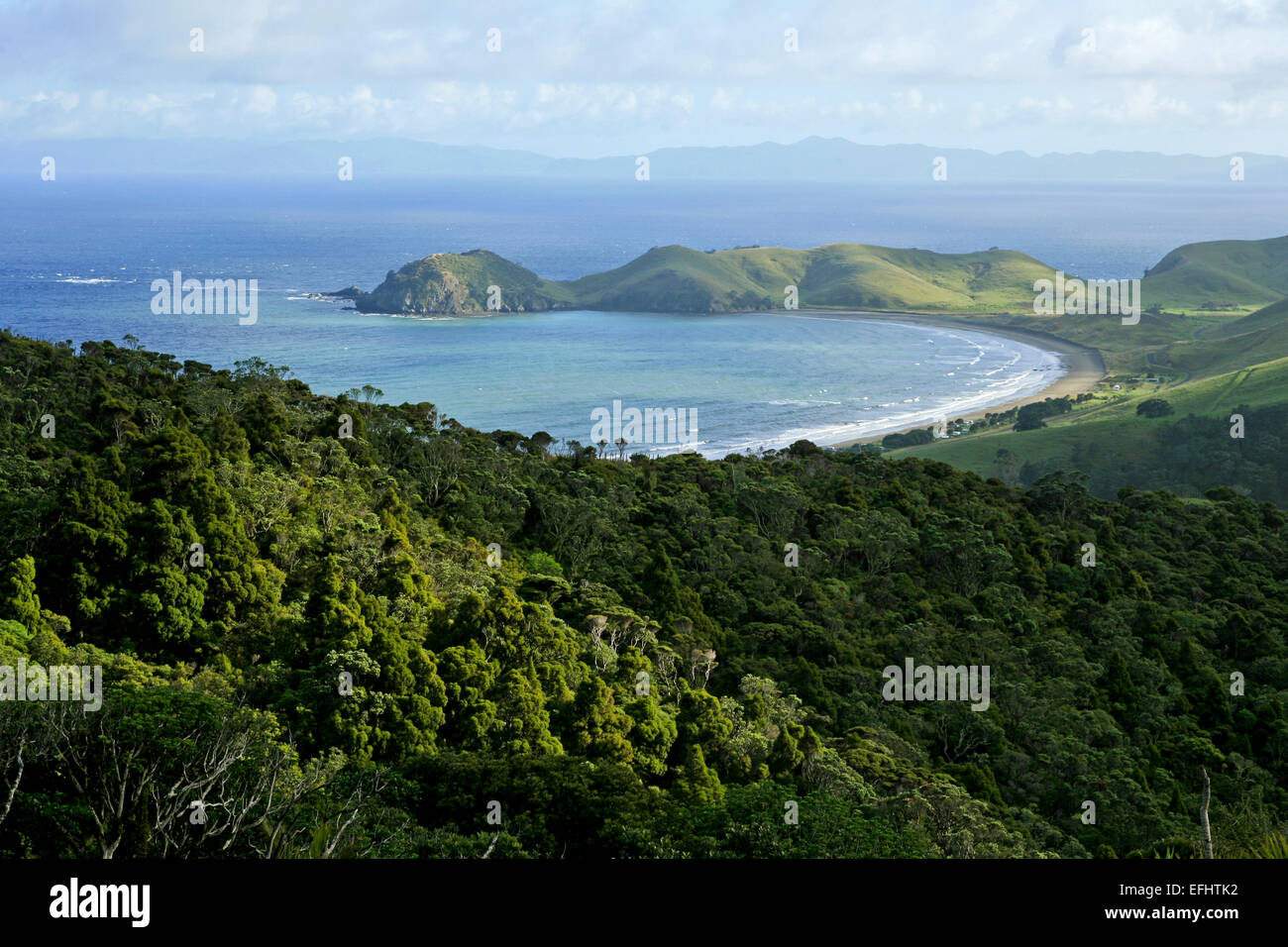 Geschwungene Bucht bei Port Jackson, Coromandel Peninsula, Nordinsel, Neuseeland Stockfoto