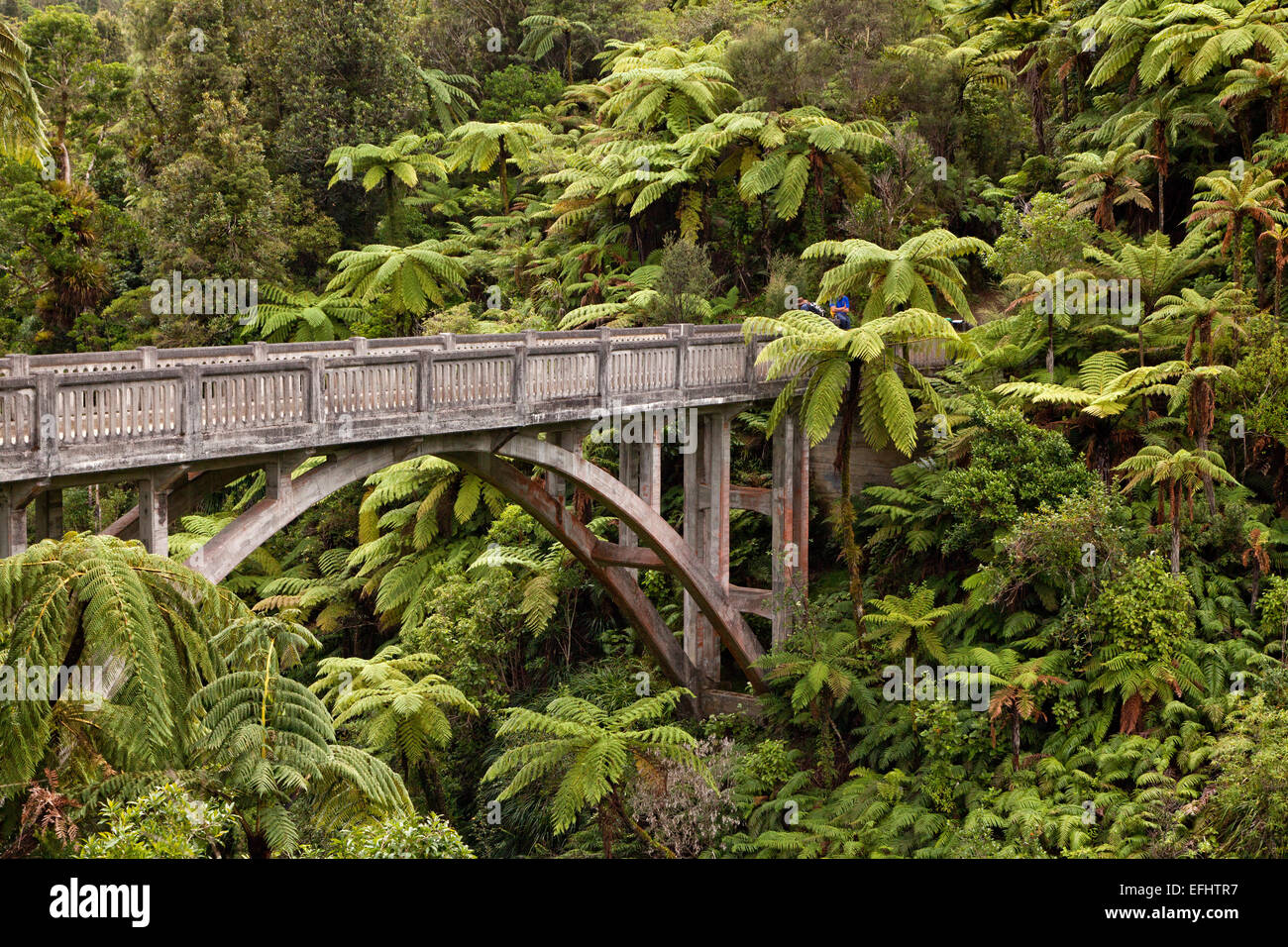 Brücke ins Nirgendwo, eine konkrete Straßenbrücke mit keinen Weg dorthin, Baumfarne, walking Track, Whanganui River, North Island, Stockfoto