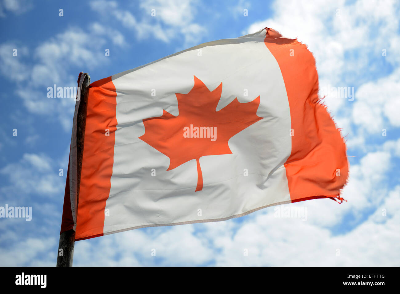 Fahne Kanada Canada kaufen – Landesfahne