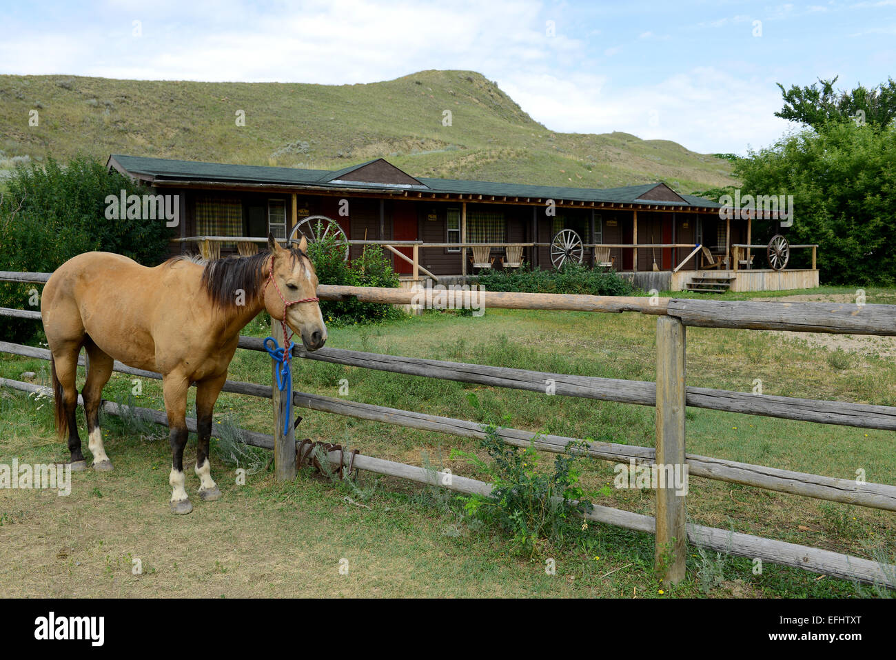 La Reata Ranch, Saskatchewan, Kanada. Stockfoto