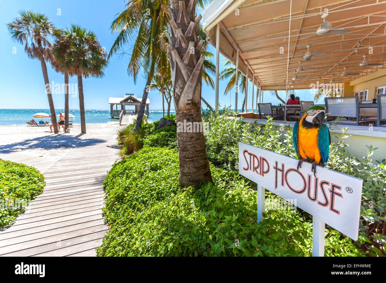 Eindruck im Gourmet-Restaurant Strip House, Reach Resort, Key West, Florida Keys, USA Stockfoto