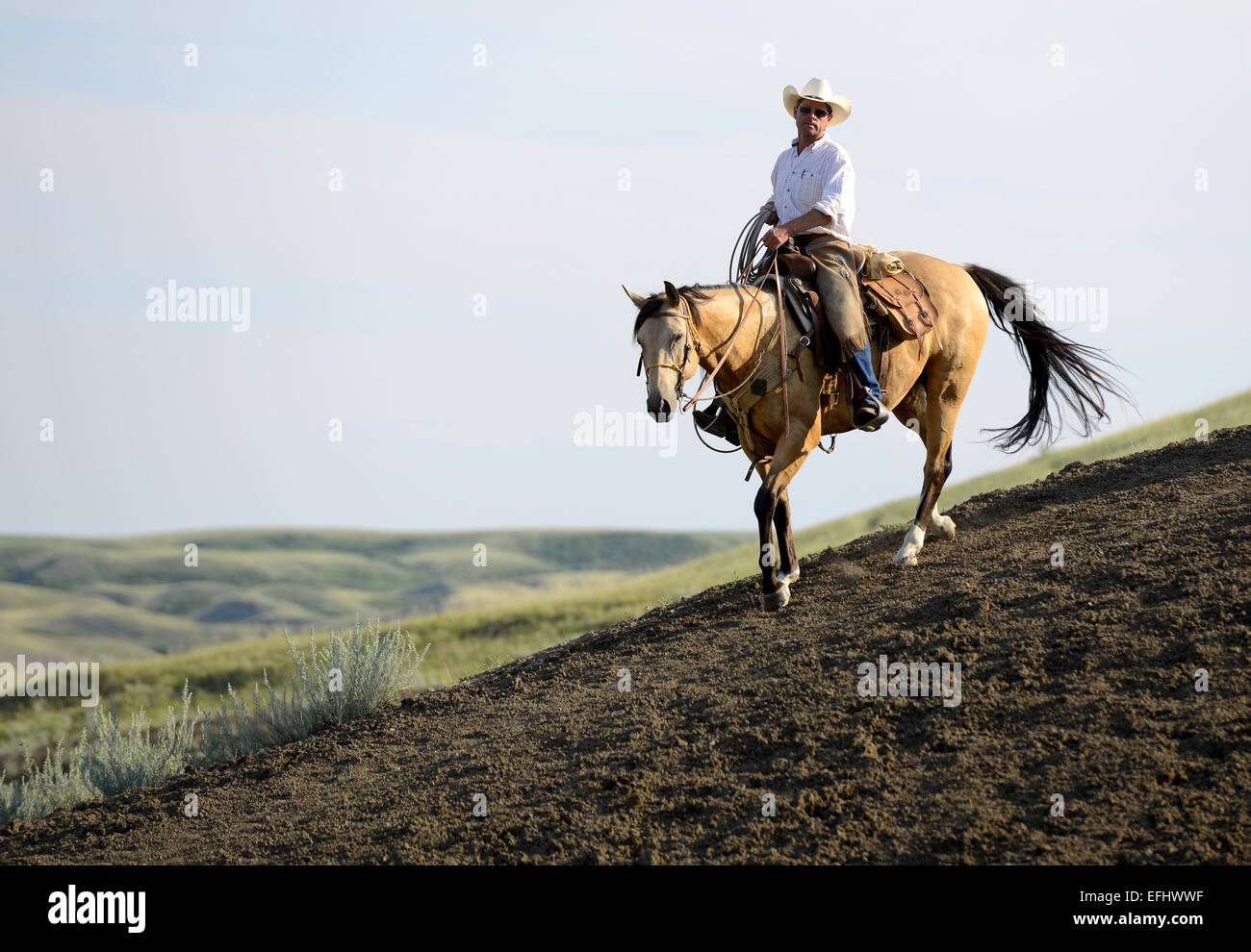 Reiter, Cowboy, La Reata Ranch, kanadischen Prärien, Saskatchewan, Kanada. Stockfoto