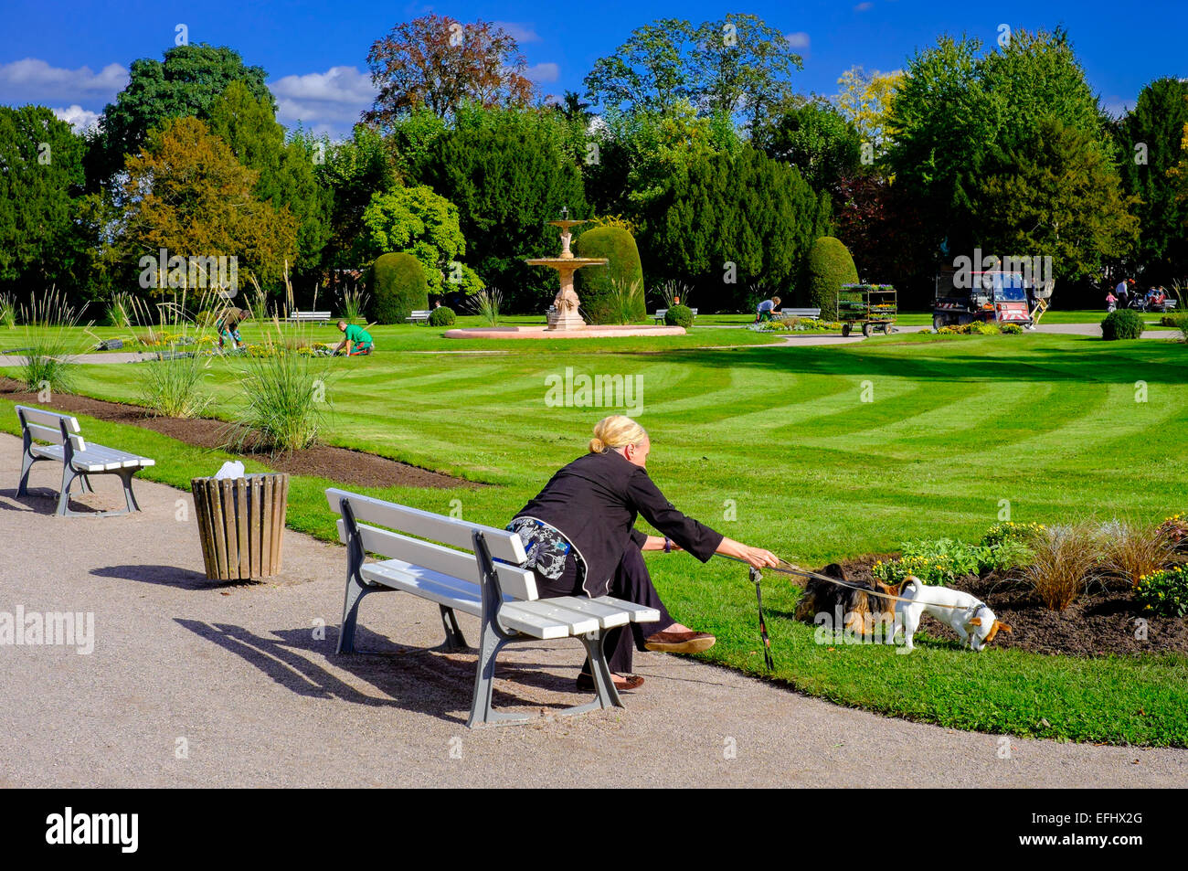 Frau sitzt auf der Bank und 2 Hunde Parc de l'Orangerie Park Straßburg Elsass Frankreich Europa Stockfoto