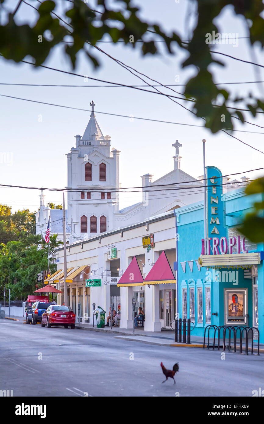 Huhn, überqueren die Straße vor den Tropic Kino und St. Pauls Episcopal Church, Key West, Florida Keys, USA Stockfoto