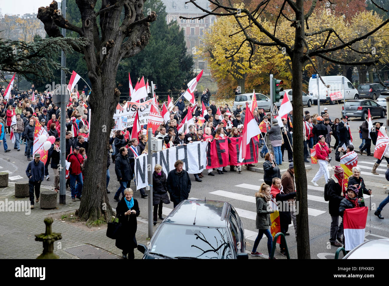 Oktober 2014 Protestmarsch gegen die französischen Regionen Erweiterung Straßburg Elsass Frankreich Stockfoto