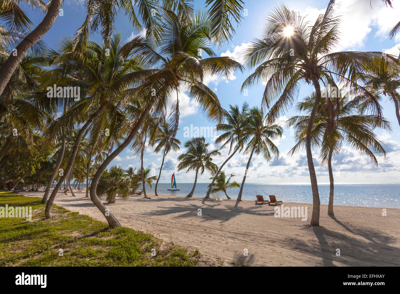 Strand von Moorings Village Resort, Islamorada, Florida Keys, Florida, USA Stockfoto