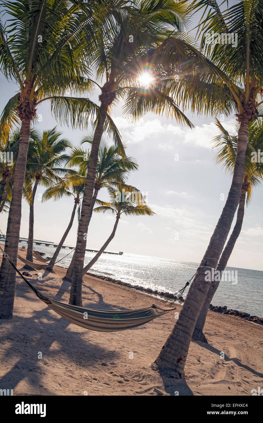 Strand mit Hängematte im Luxus Hotel Reach Resort, Key West, Florida Keys, USA Stockfoto