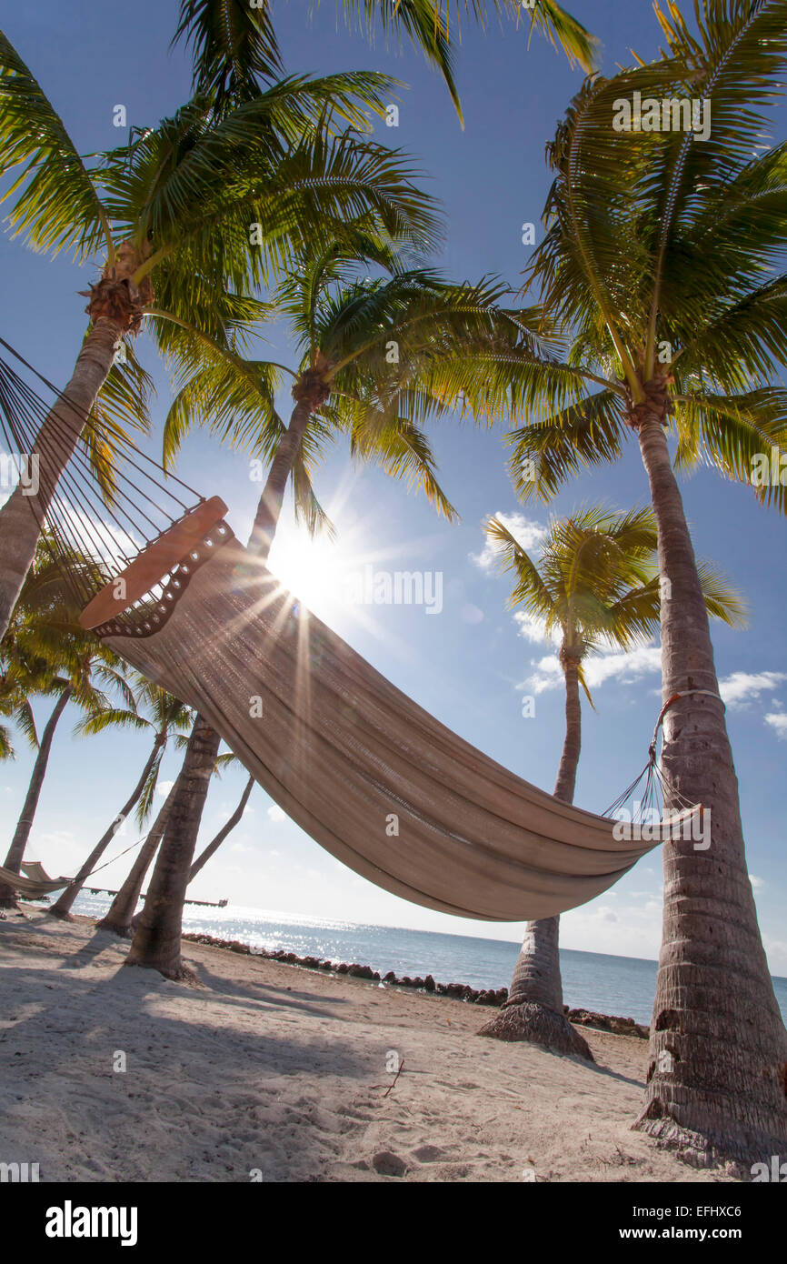 Strand mit Hängematte im Luxus Hotel Reach Resort, Key West, Florida Keys, USA Stockfoto