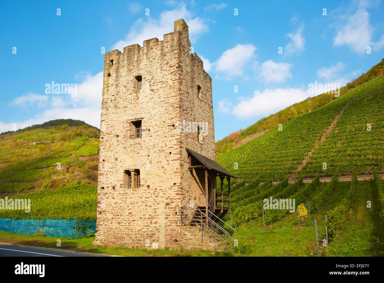Ruine der romanische Wohnturm, römische Wohnturm Hofgut Lehmen, Bezirk, Ediger-Eller, Mosel, Rheinland-Pfalz, Wein Stockfoto