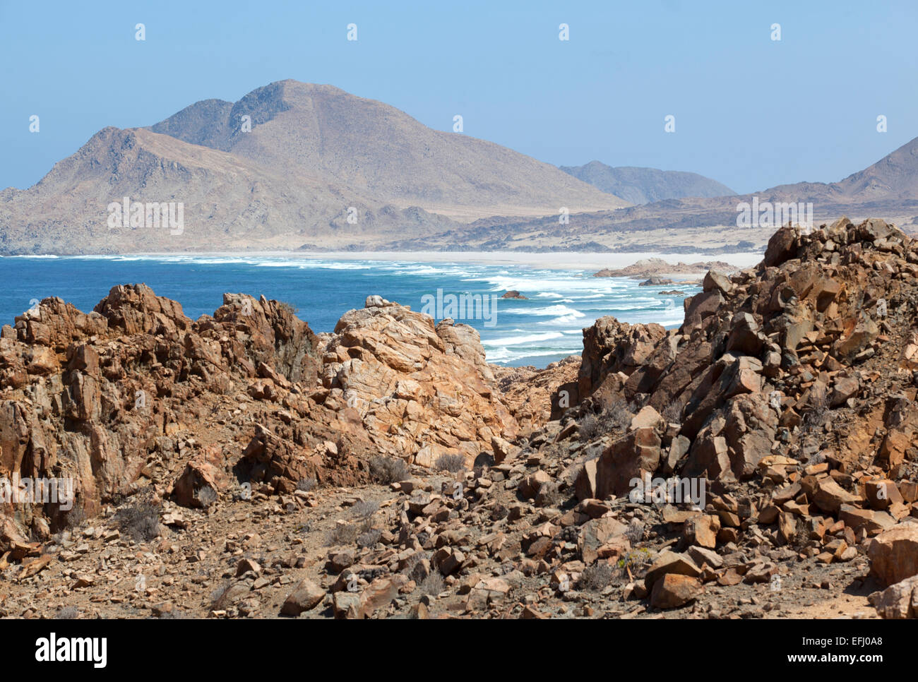 Pan de Azucar Nationalpark. Region de Atacama & Antofagasta. Chile. Stockfoto