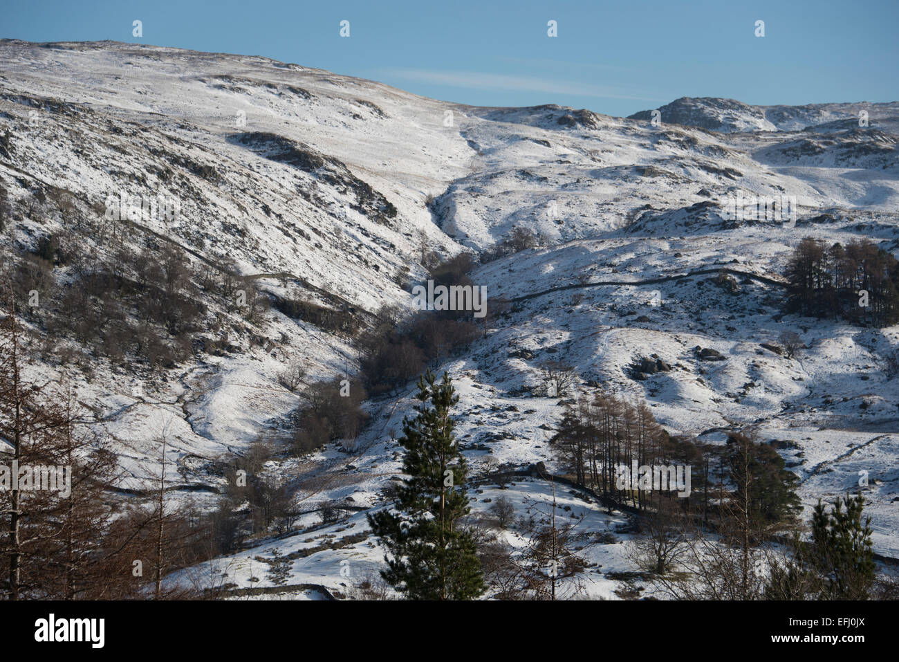 Watendlath fiel im Winter englischen Lake District. Stockfoto