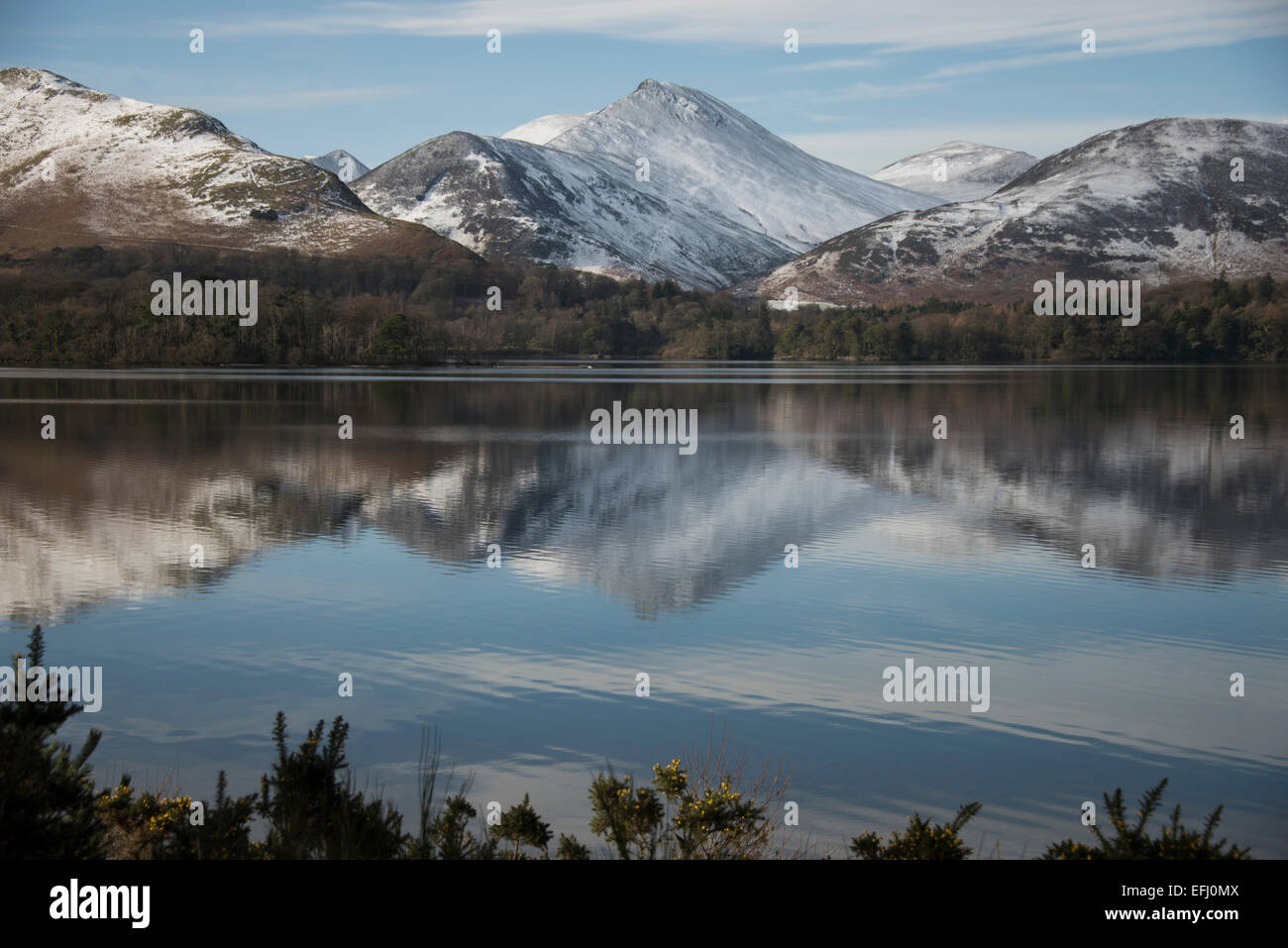 Causey Hecht spiegelt sich in Derwentwater, englischen Lake District. Stockfoto