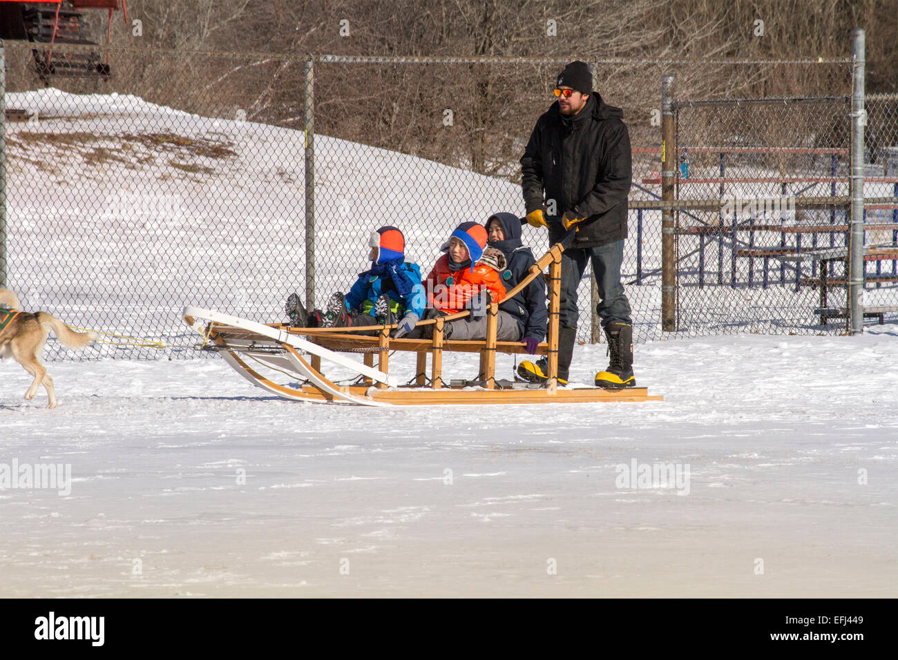 Drei Kinder auf einem Hundeschlitten fahren am Cannington Hundeschlitten Rennen und winterfest Stockfoto