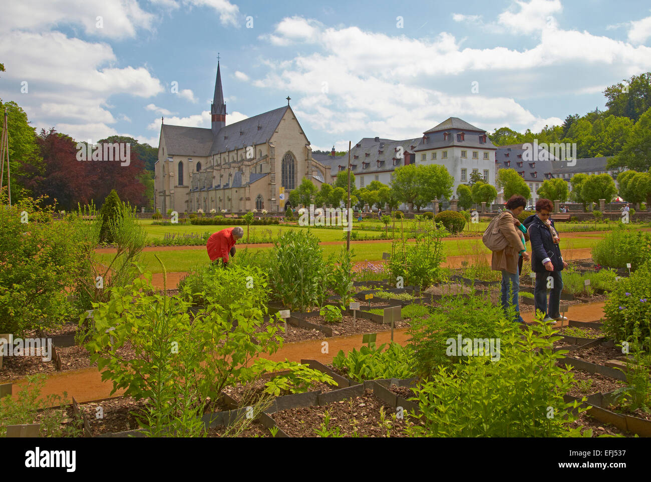 Blick über den Kräutergarten in Abtei Marienstatt (13. Jahrhundert), Nistertal, Streithausen, Westerwald, Rheinland-Pfalz, Ge Stockfoto