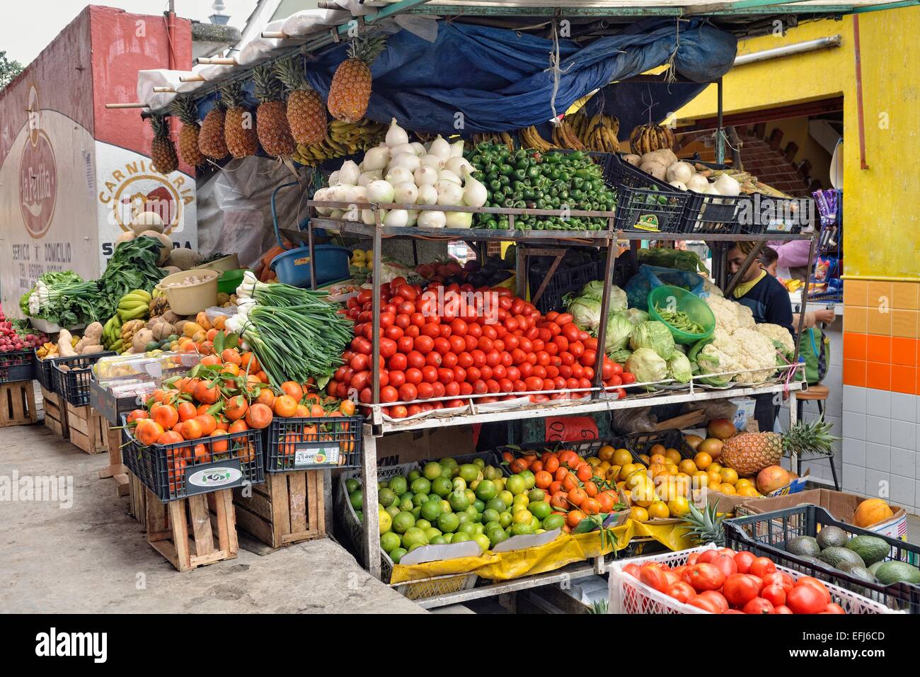 Obst und Gemüse stand, Markt, Coatepec, Bundesstaat Veracruz, Mexiko Stockfoto