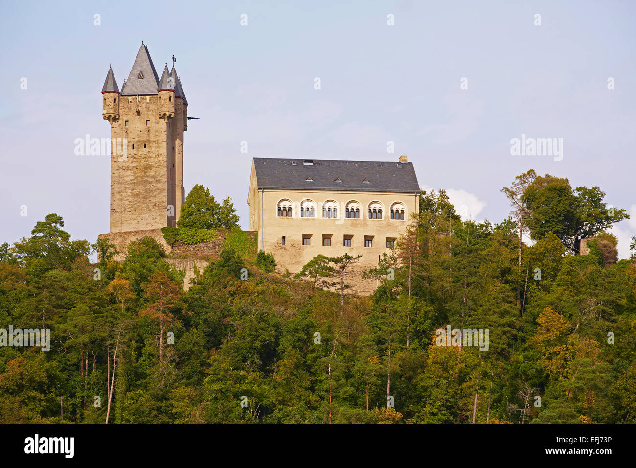 Burg Nassau, Nassau, Lahn, Westerwald, Rheinland-Pfalz, Deutschland, Europa Stockfoto