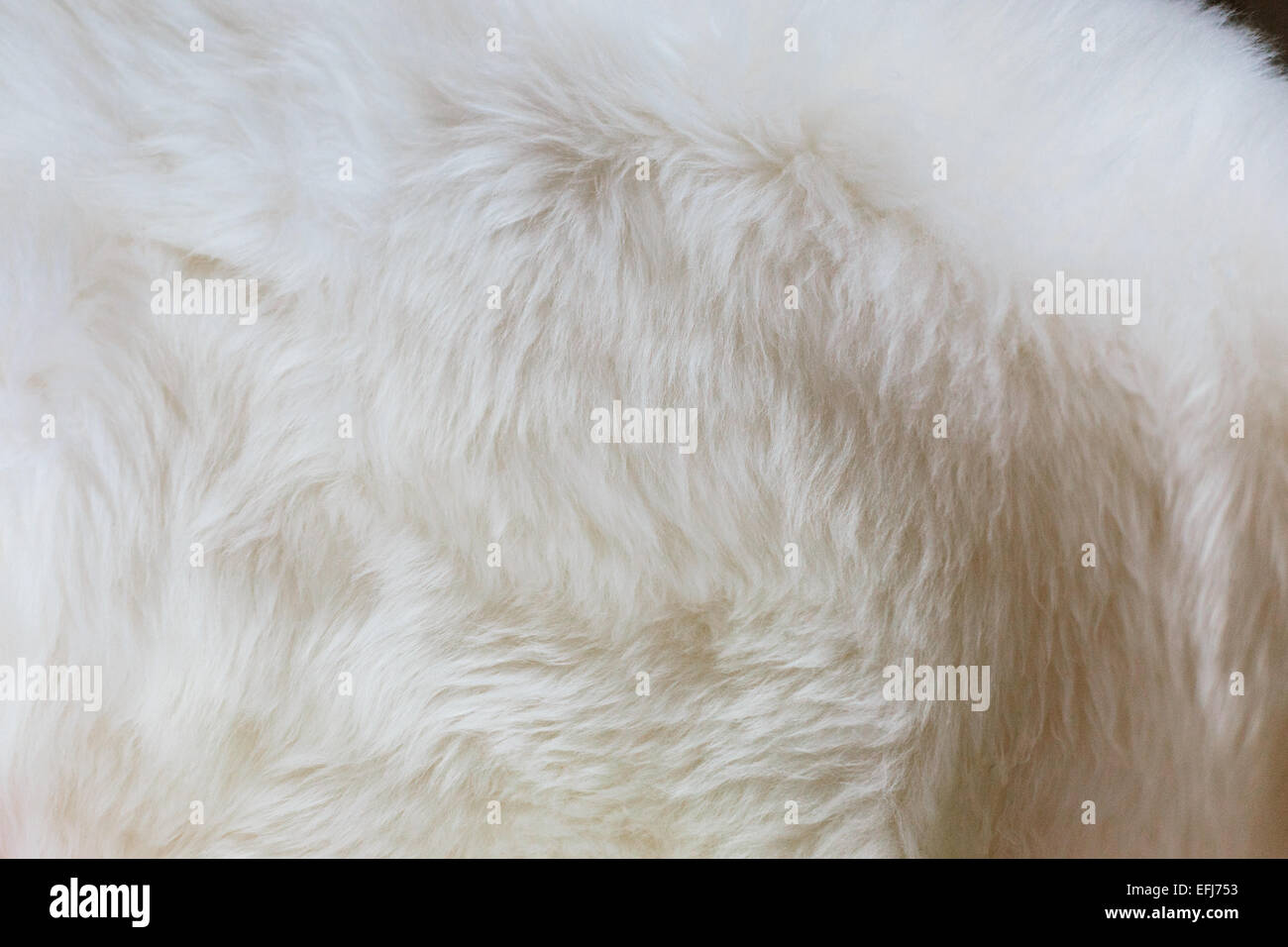Schaffell Teppich Textur Stockfoto