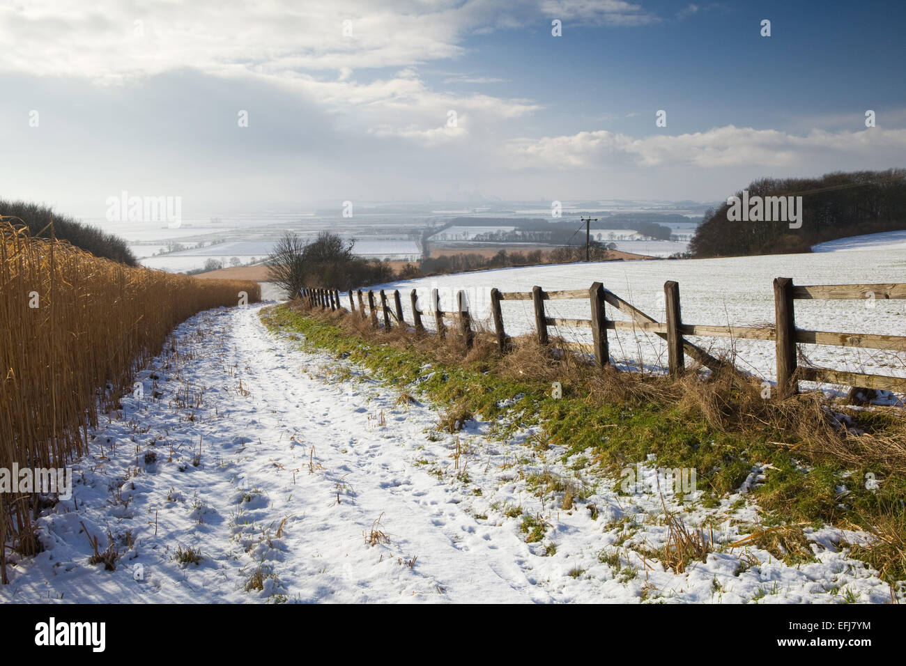 Ancholme Valley, North Lincolnshire, Großbritannien. 3. Februar 2015. Stockfoto