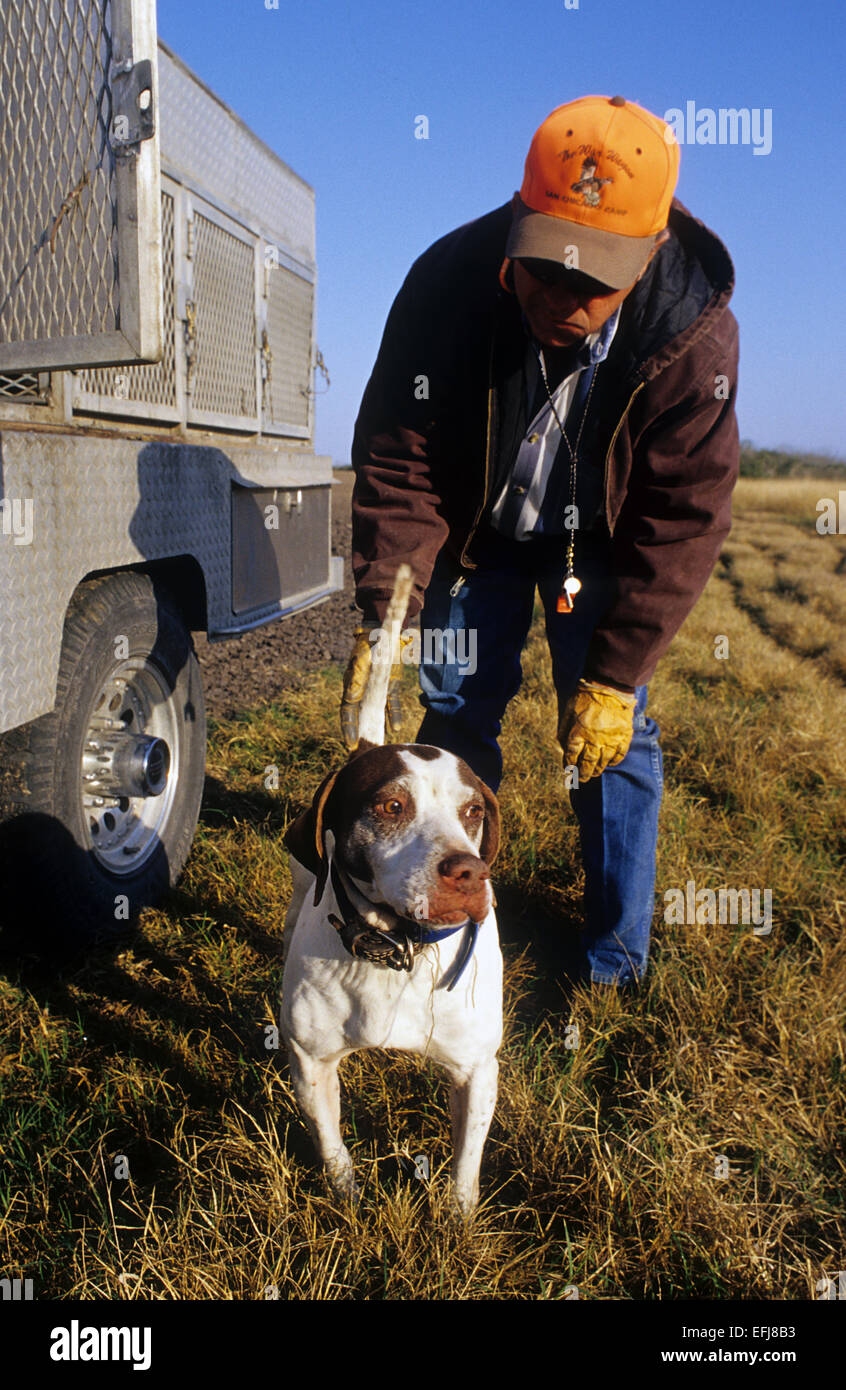 Ein Jäger mit seinem englischen Pointer Hund während der Wachtel Jagd auf der King Ranch im Süden von Texas Stockfoto