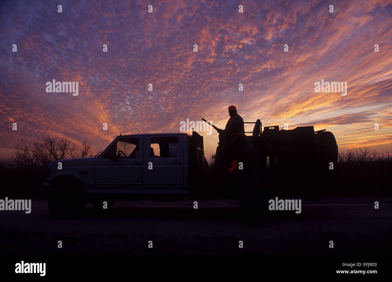 Jäger bei Sonnenuntergang auf ihrer LKW während der Wachtel Jagd auf der King Ranch im Süden von Texas Stockfoto