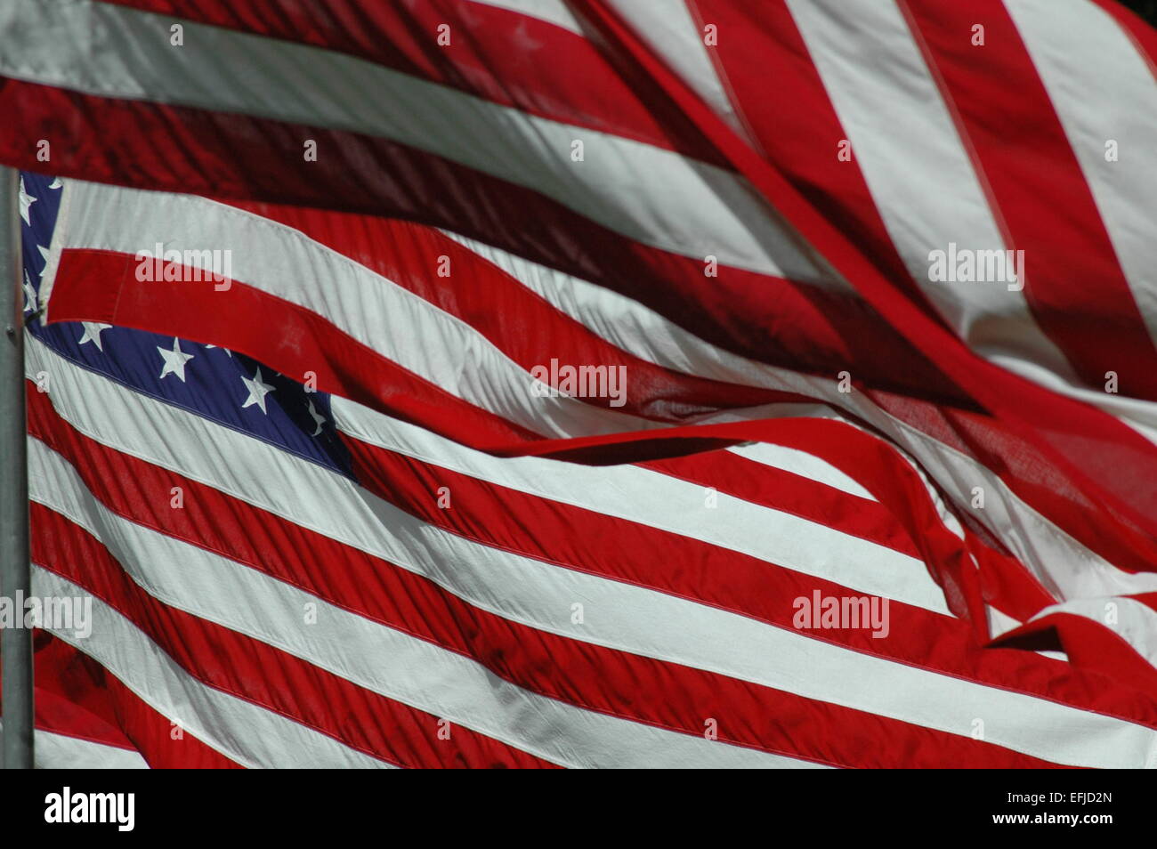 Memorial Day amerikanische Flaggen im Wind. Stockfoto