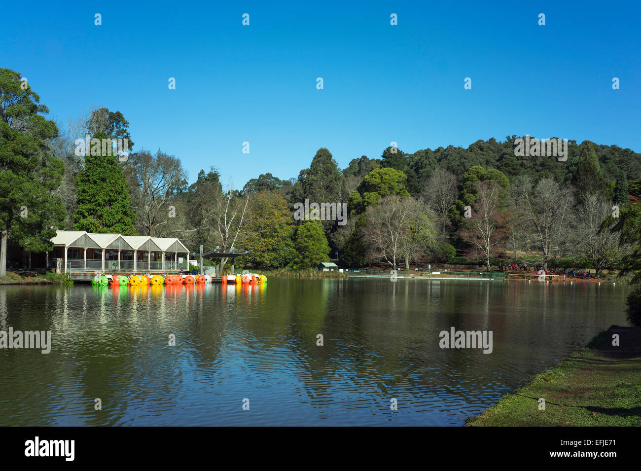 Emerald Lake Park, Melbourne, Australien Stockfoto