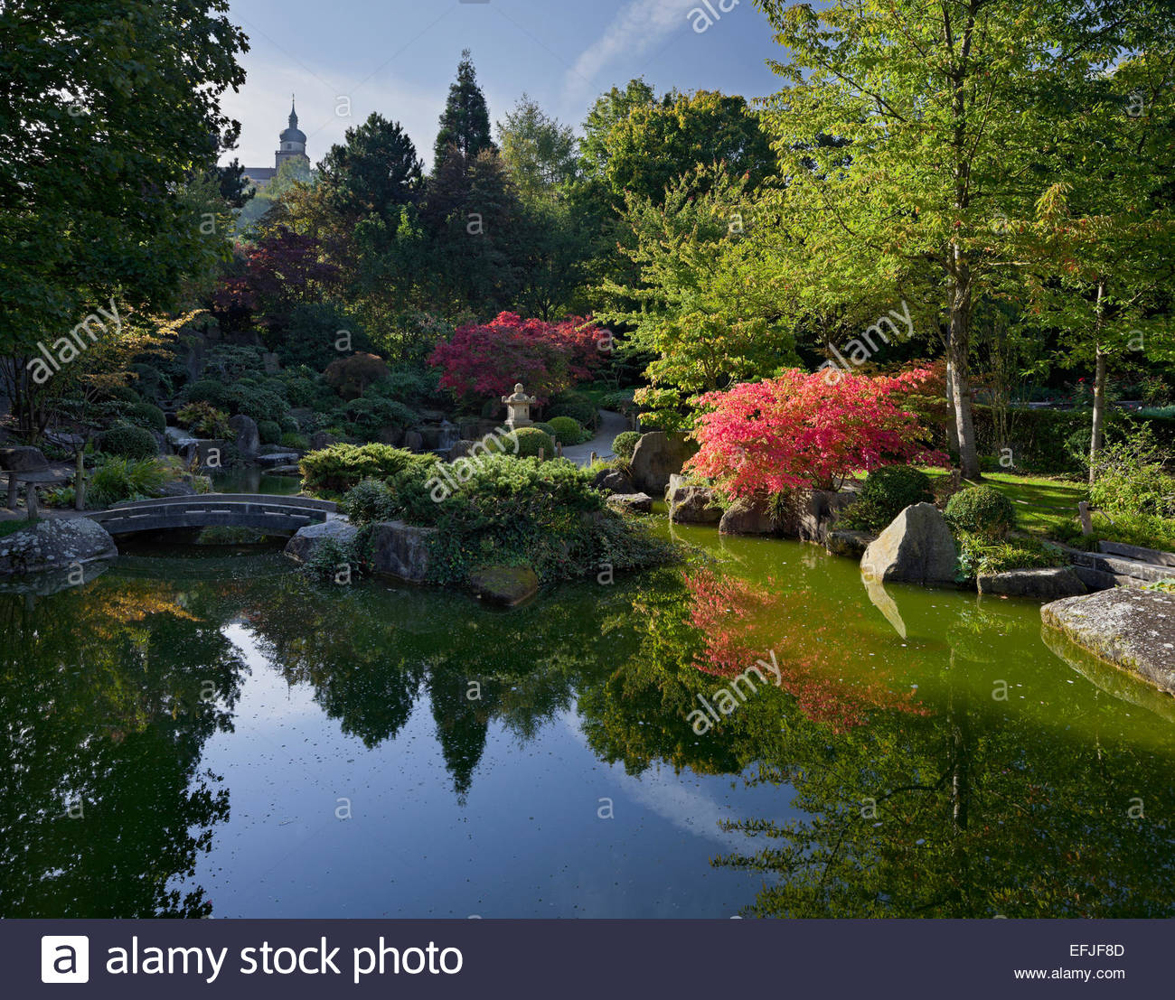 Japanischer Garten Mit Teich Festung Marienberg Wurzburg Bayern